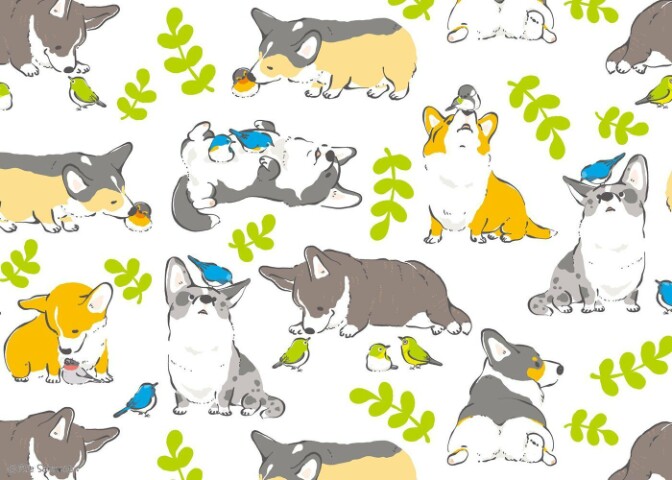 creator cover LolitaSan