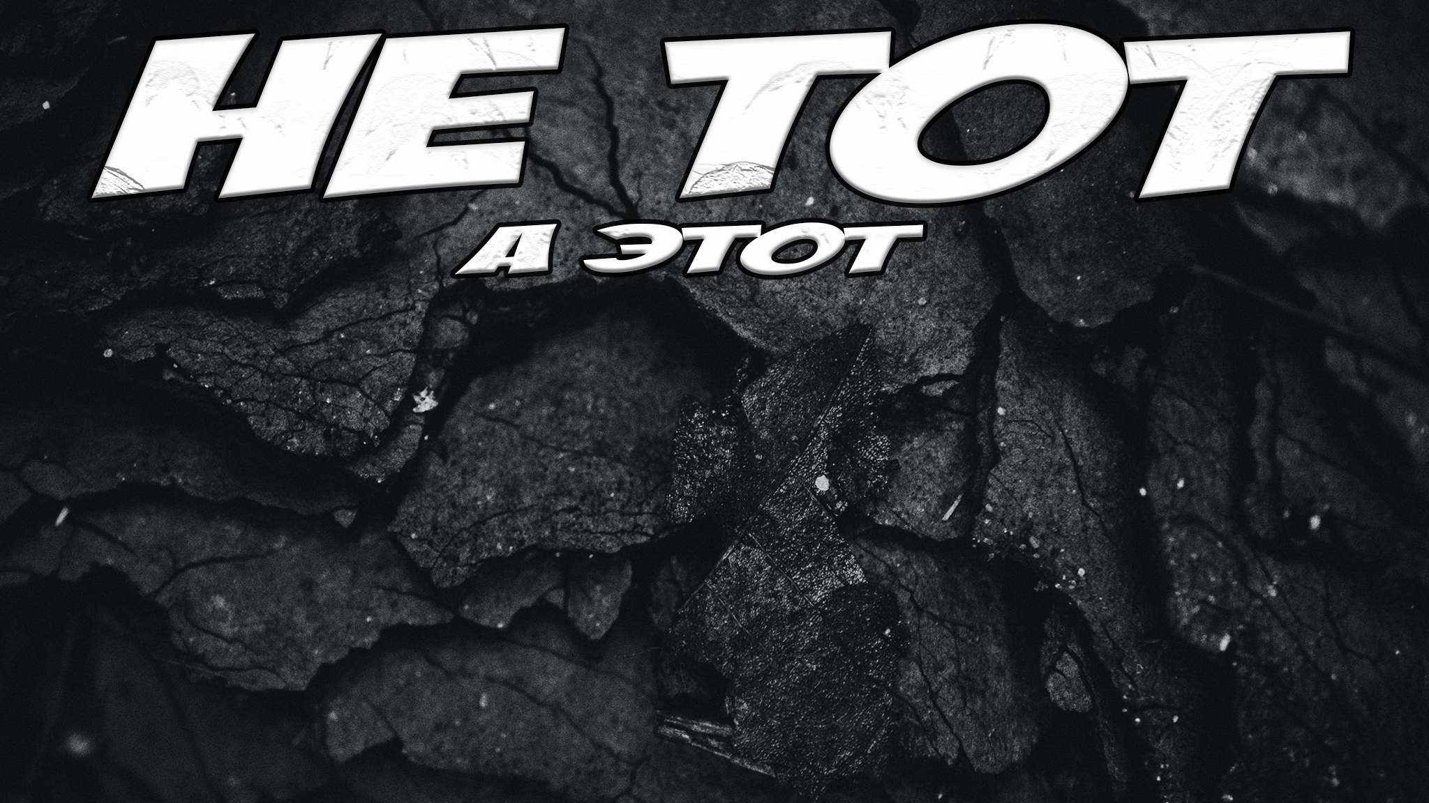 creator cover NETOT
