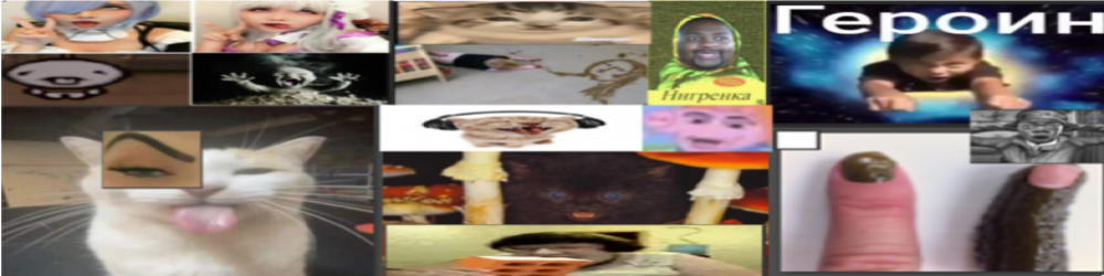creator cover Applose entertainment