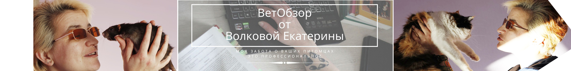 creator cover Екатерина Волкова