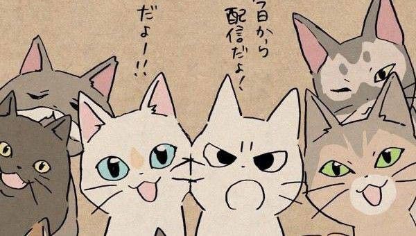 creator cover MeowkittyeXD