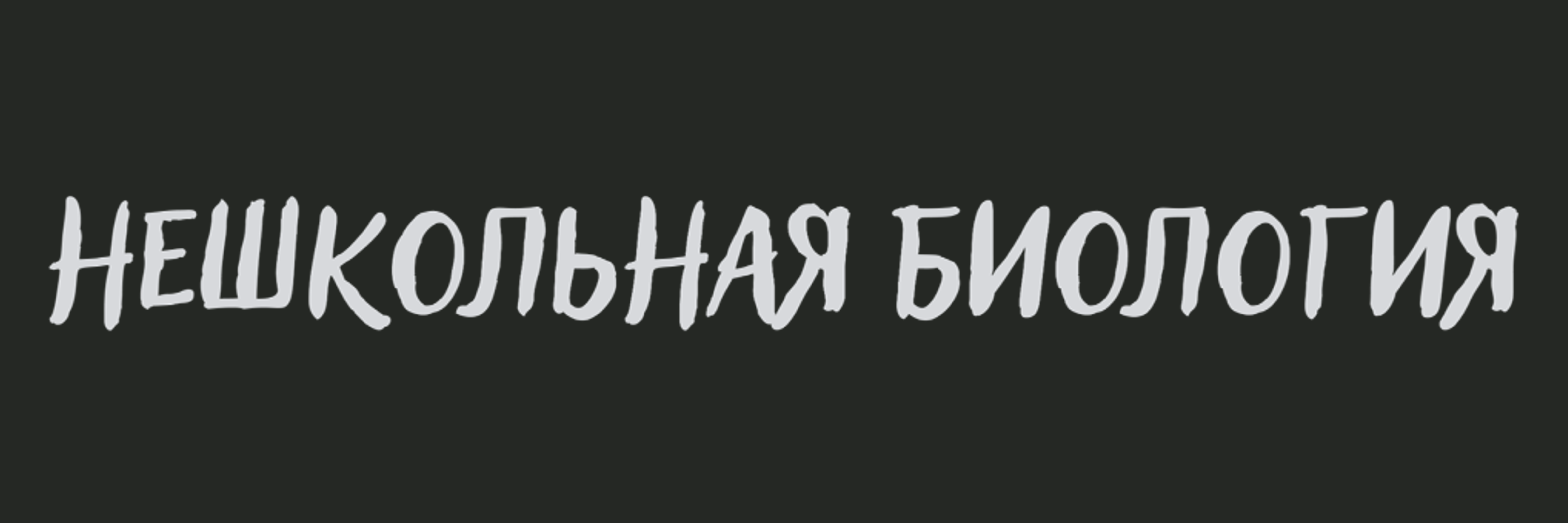 creator cover Мозг ведёт