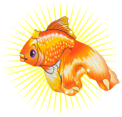 обложка автора Золотая Рыбка