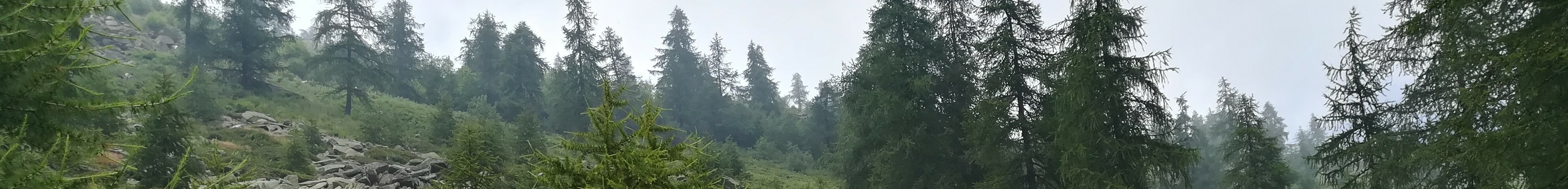 creator cover zb36.ru