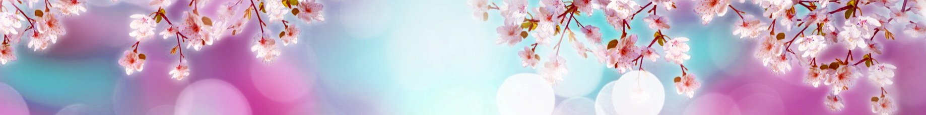 creator cover Anielle