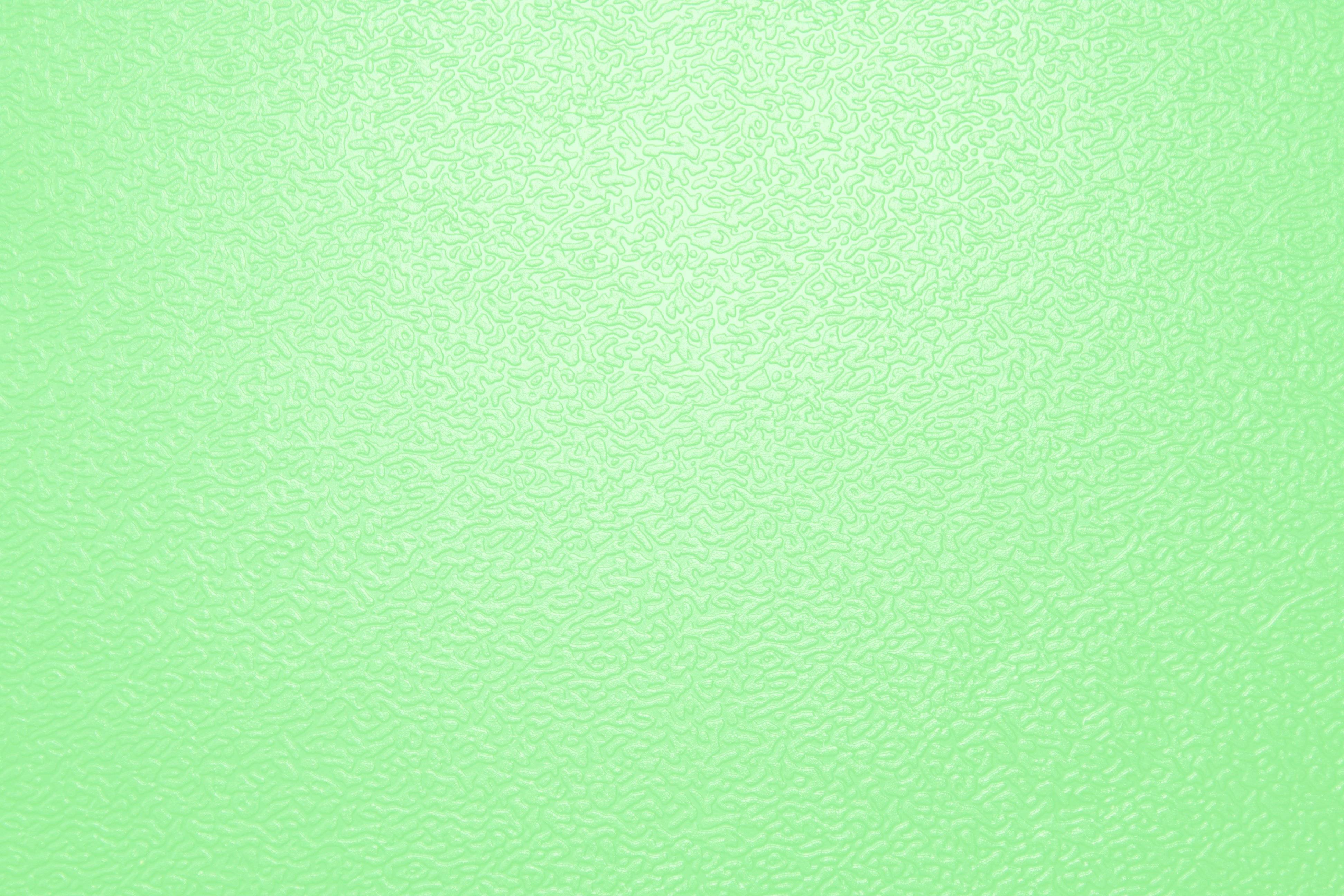 creator cover Vevonin