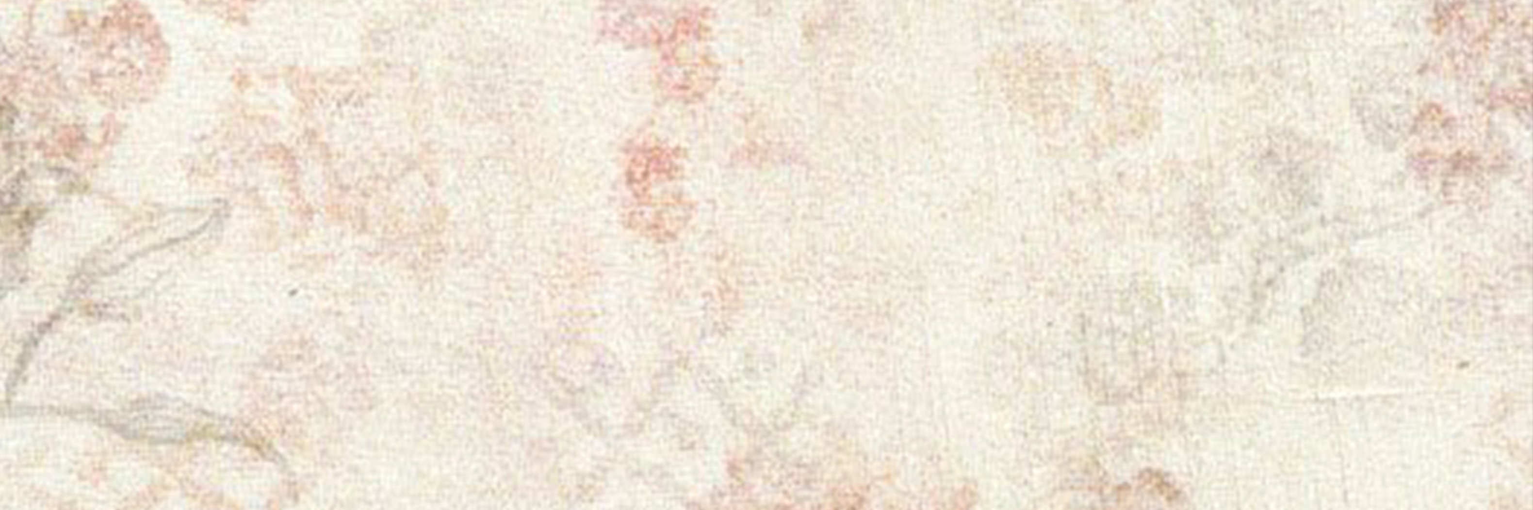 creator cover SipiSasha