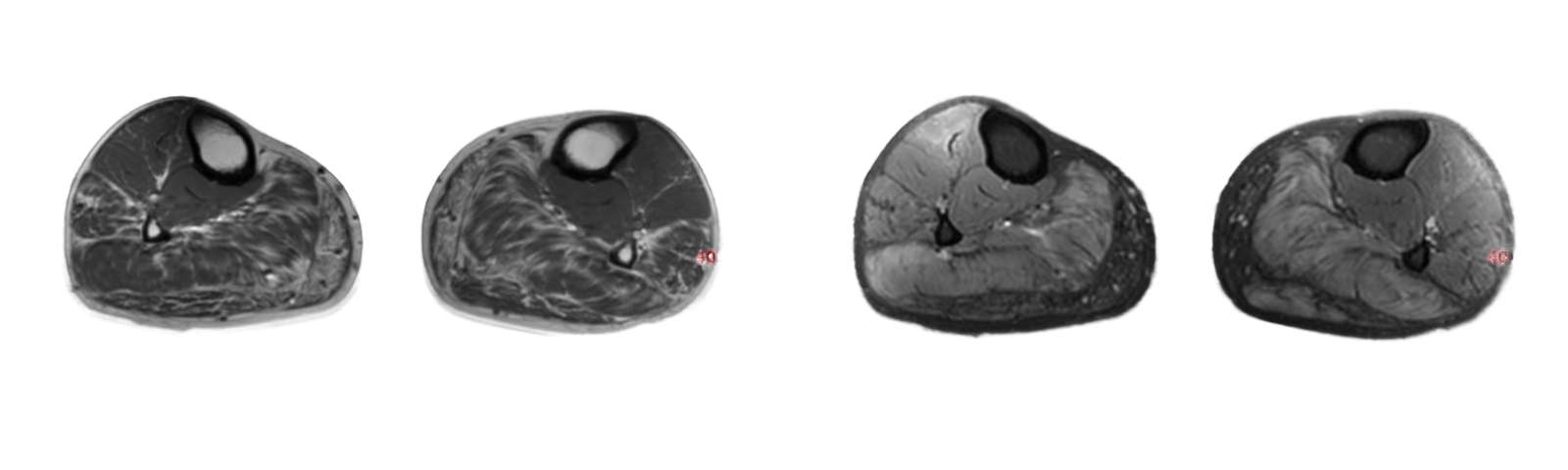 creator cover Radiology24