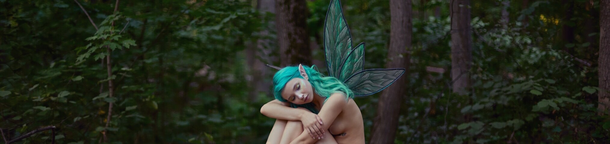 creator cover Ms.Fantasy