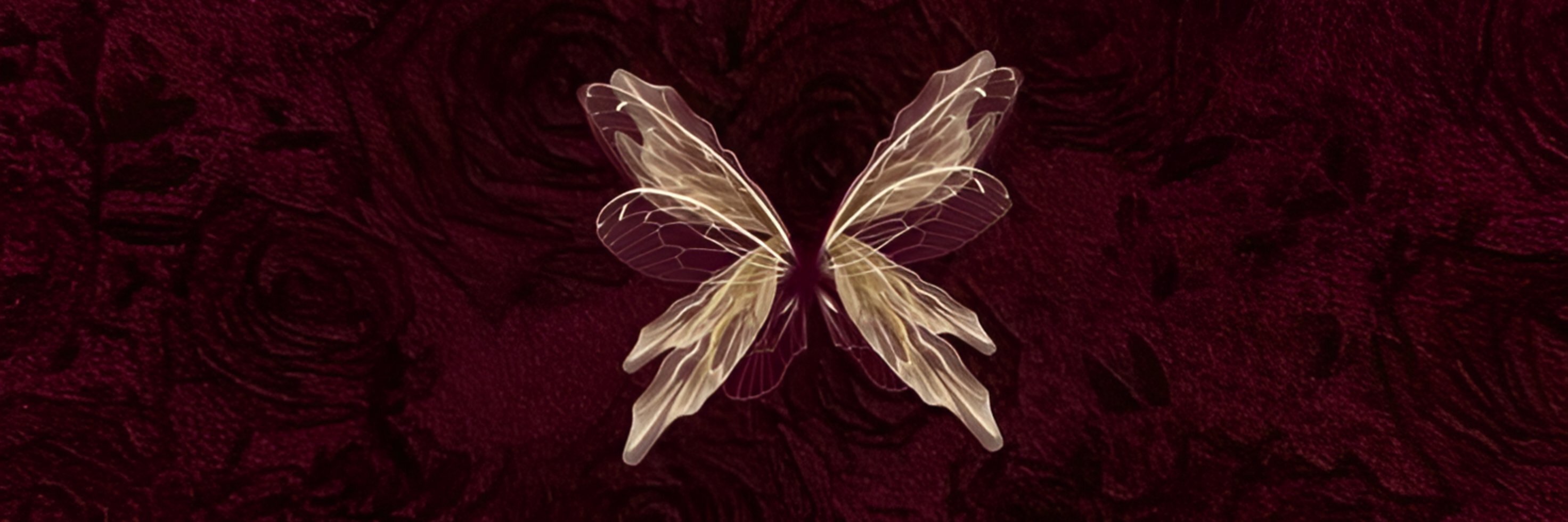 creator cover vinchi