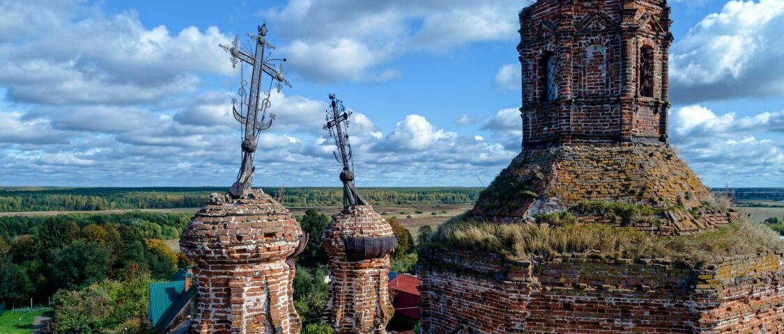 обложка автора В лесах