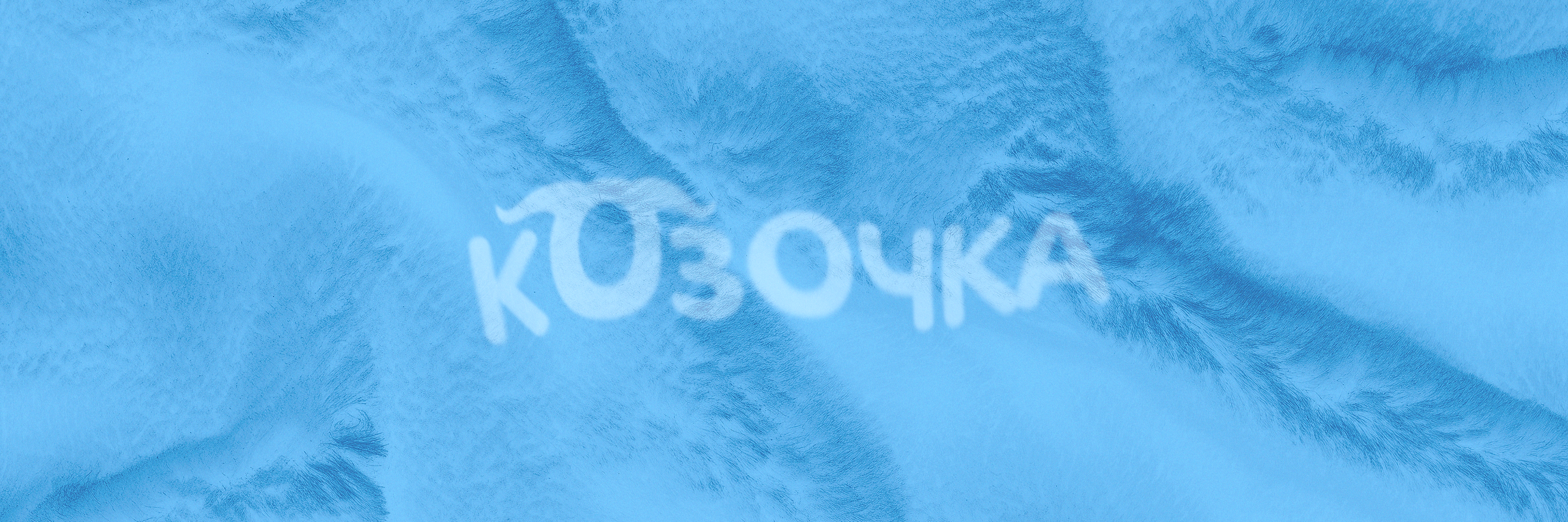 creator cover K0zochka