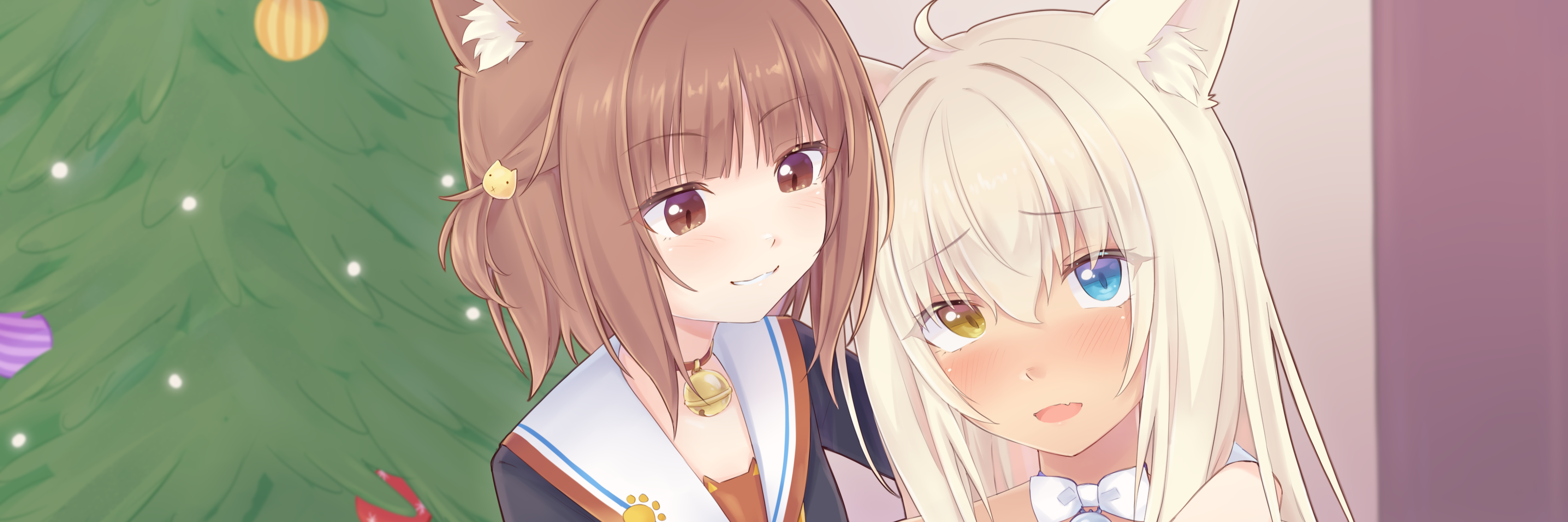 creator cover Niruni