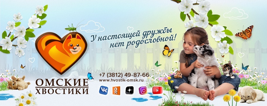 creator cover Омские Хвостики