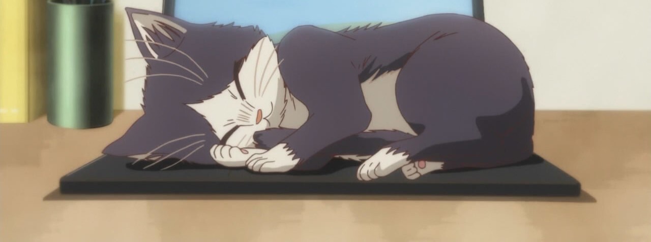 creator cover Neko