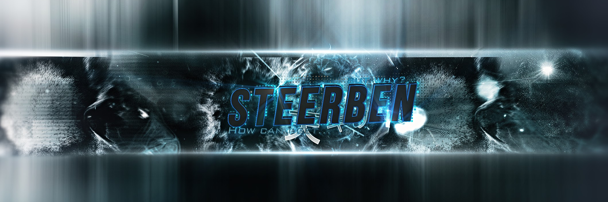 creator cover Steerben