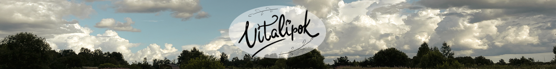 creator cover Vitalipok