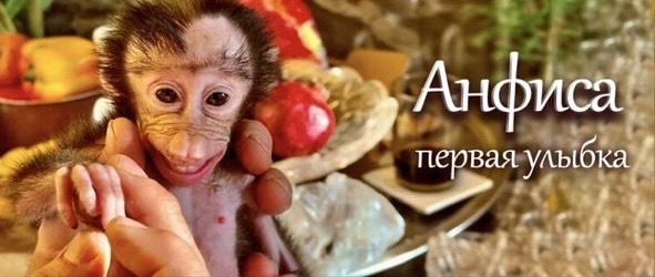 Тайган с Татьяной Алексагиной!