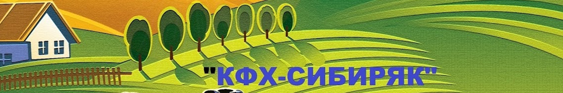 creator cover Павел Кольцов