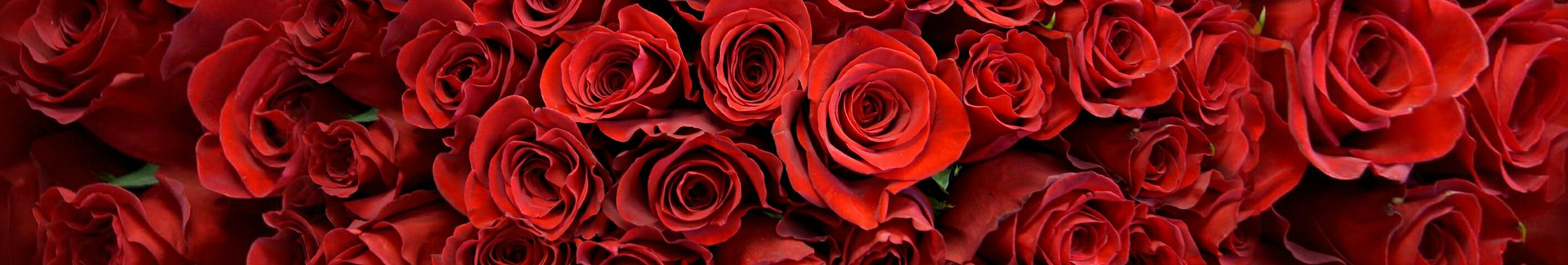 creator cover NataLisa