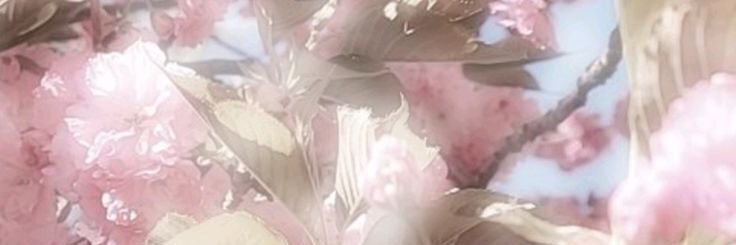 creator cover Asharin