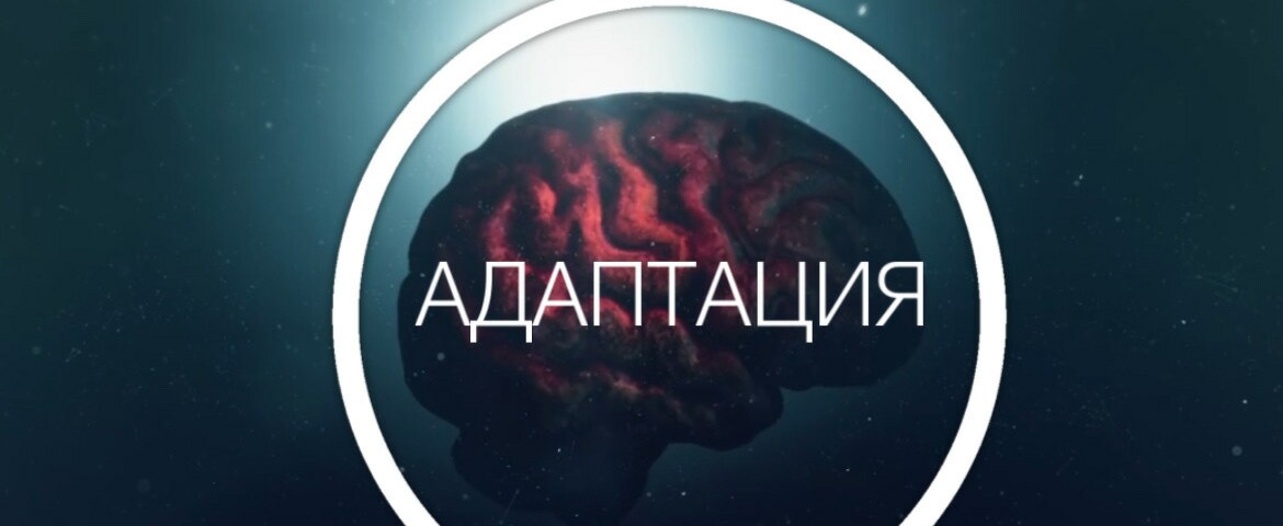 creator cover Александра Кристи | Адаптация