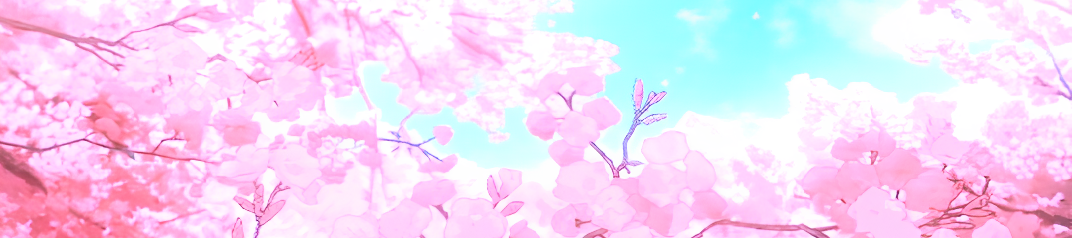 creator cover AniLand