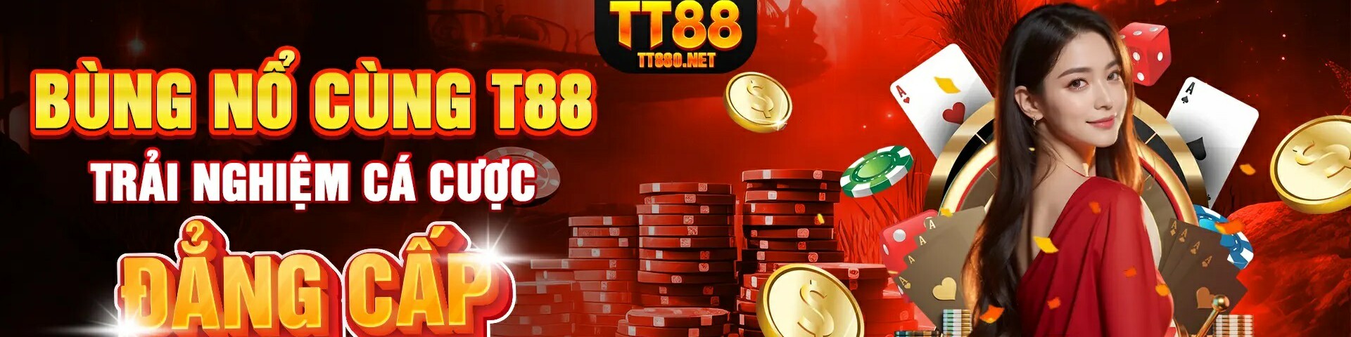 creator cover TT880 Net