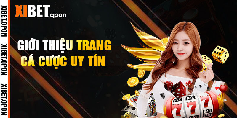 creator cover xibet qpon