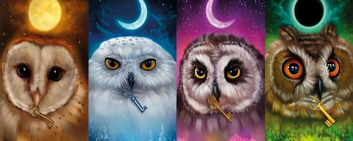 creator cover Sova