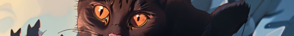 creator cover MeowBook