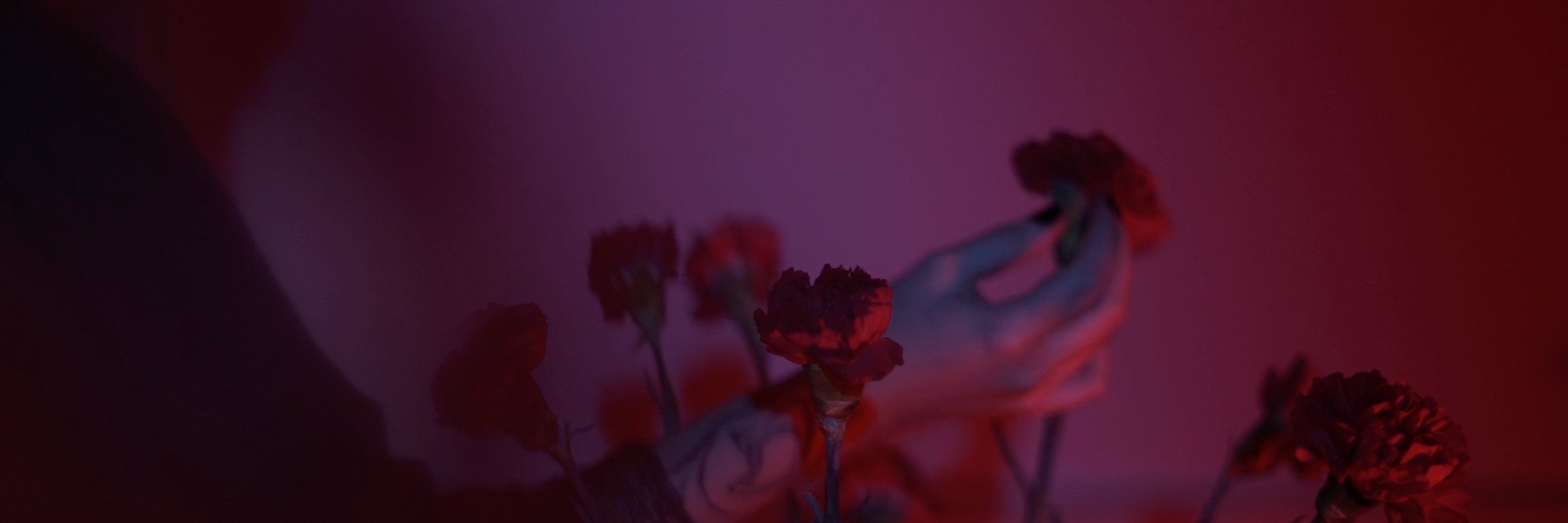 creator cover vahta 🥀✦🥀 lina