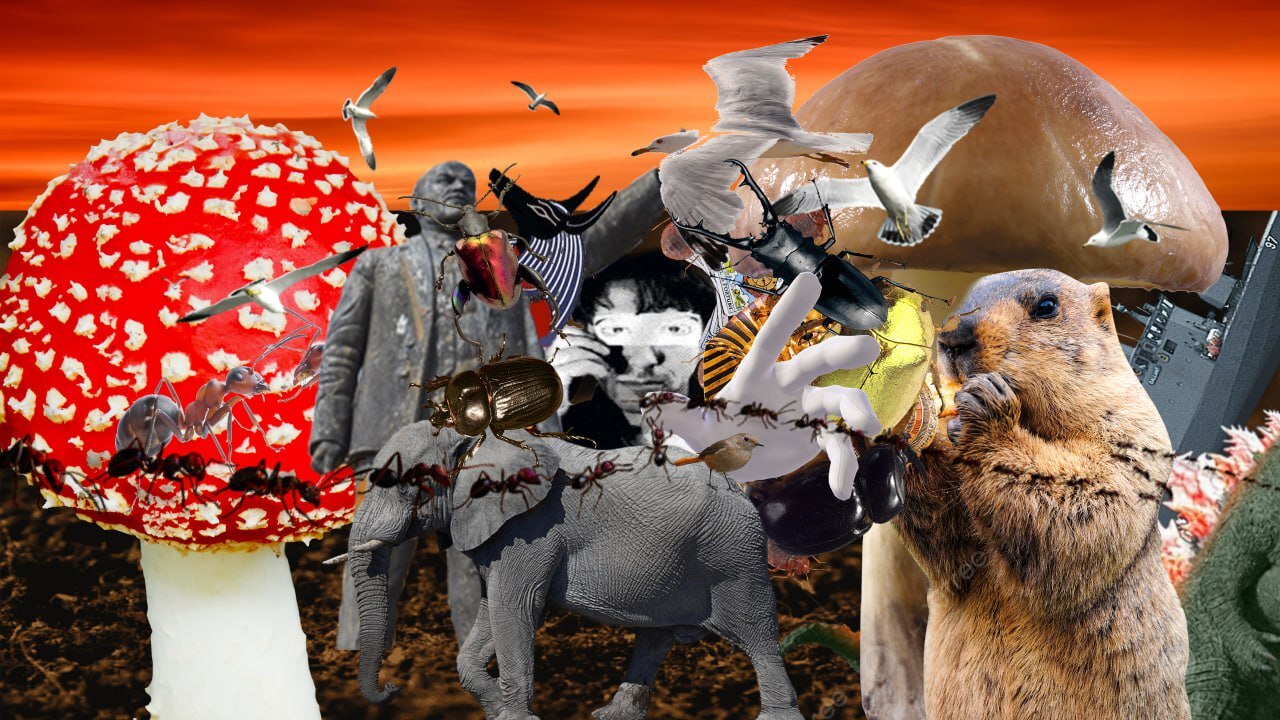 creator cover Gwarek