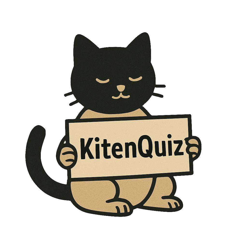 creator cover KitenQuiz