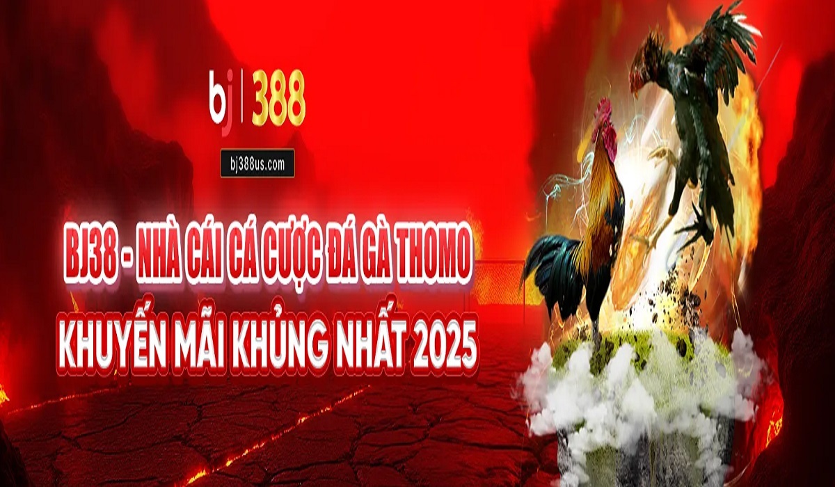 creator cover BJ88 Da Ga Truc Tiep Uy Tin