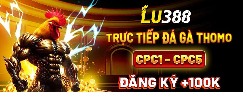 creator cover Lu388 Top