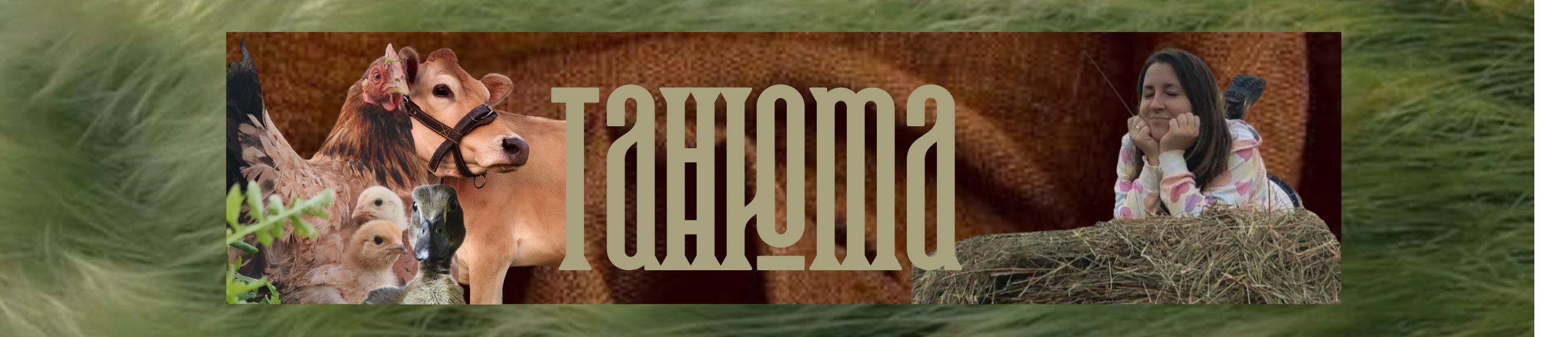creator cover Танюта
