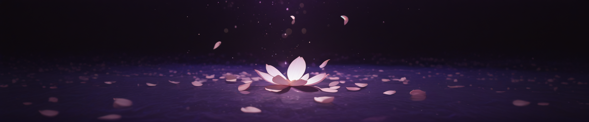 creator cover OpakyL