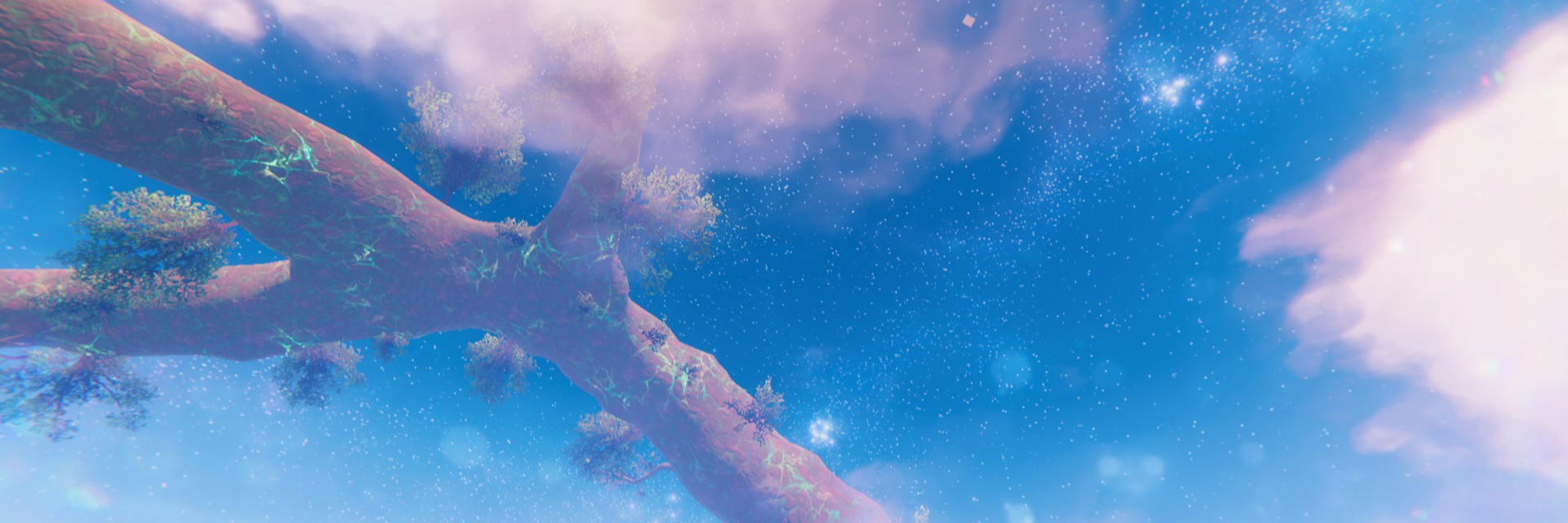 creator cover Wandering