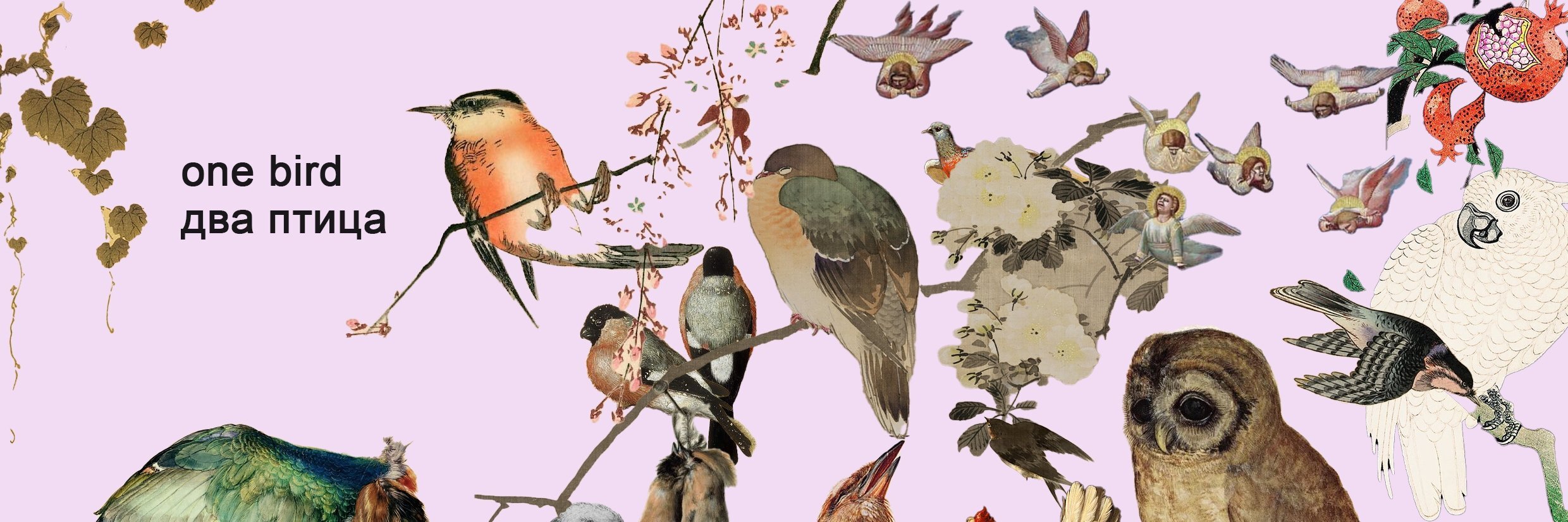 creator cover one bird two birds