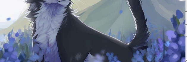 creator cover mmariaha