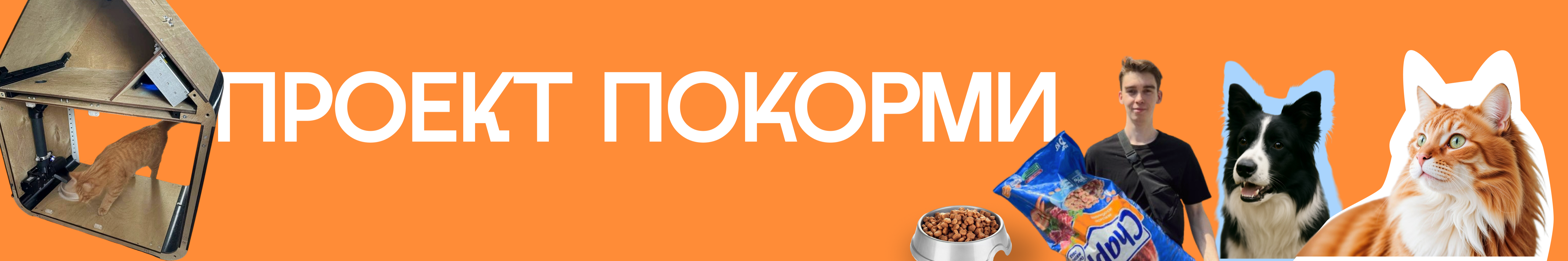 creator cover Покорми