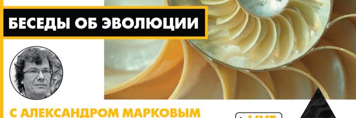 creator cover Александр Марков