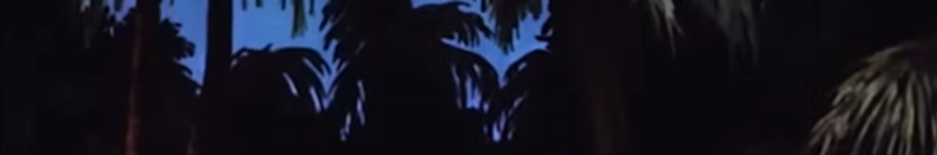 creator cover wart0night