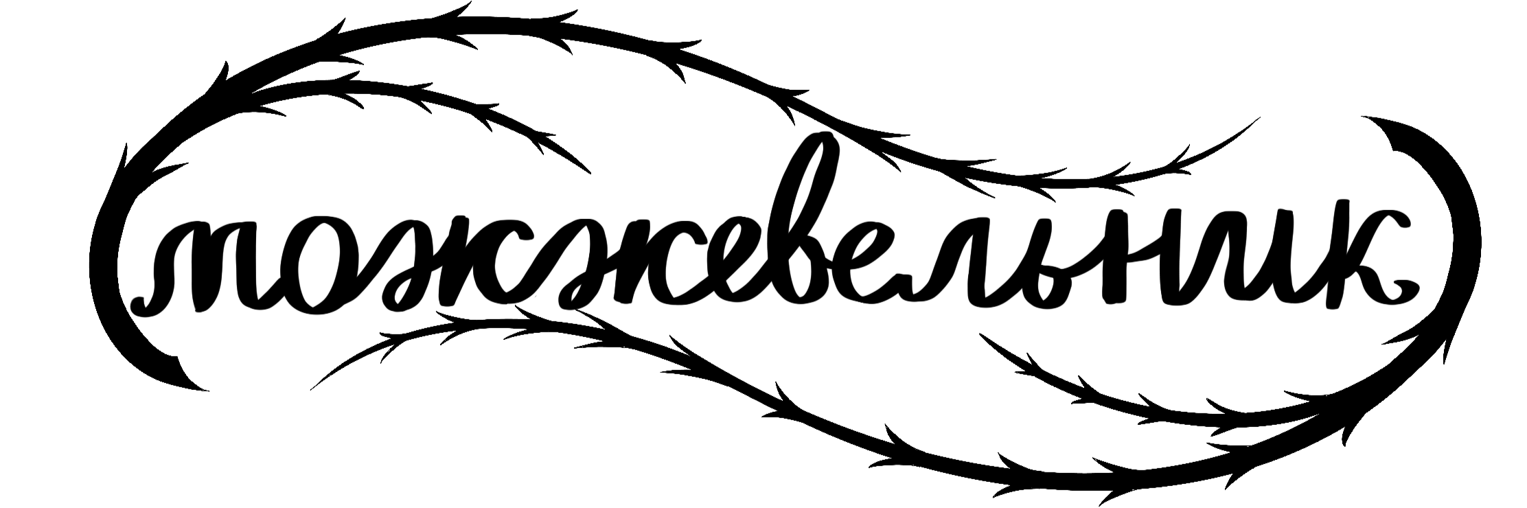 creator cover Студия Можжевельник