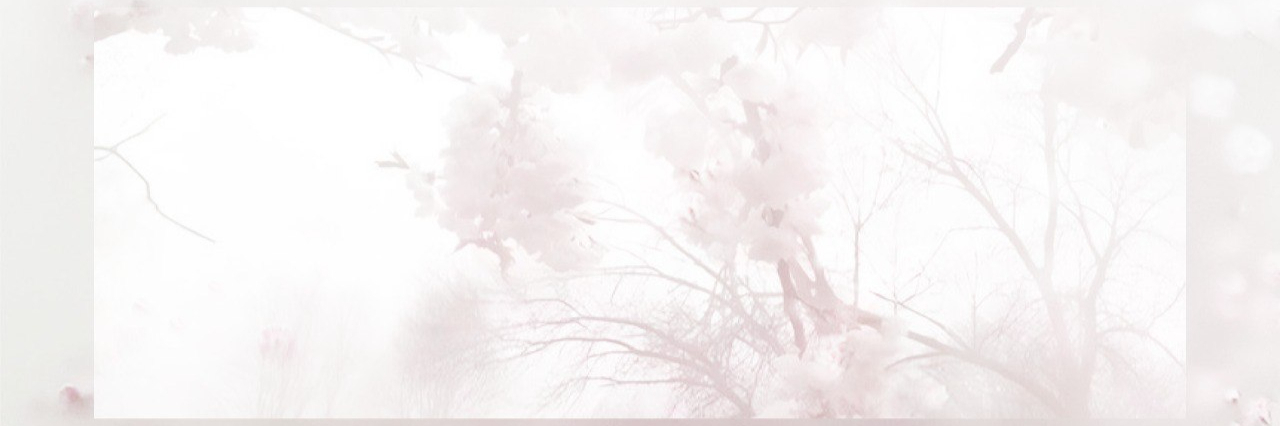 creator cover fairydesign