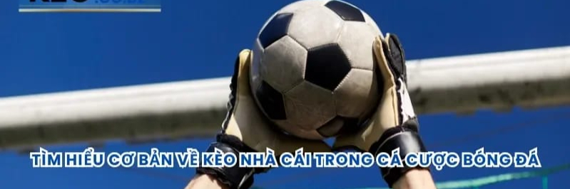 creator cover Kèo Nhà Cái 5 Tỷ Lệ Kèo Bóng Đá