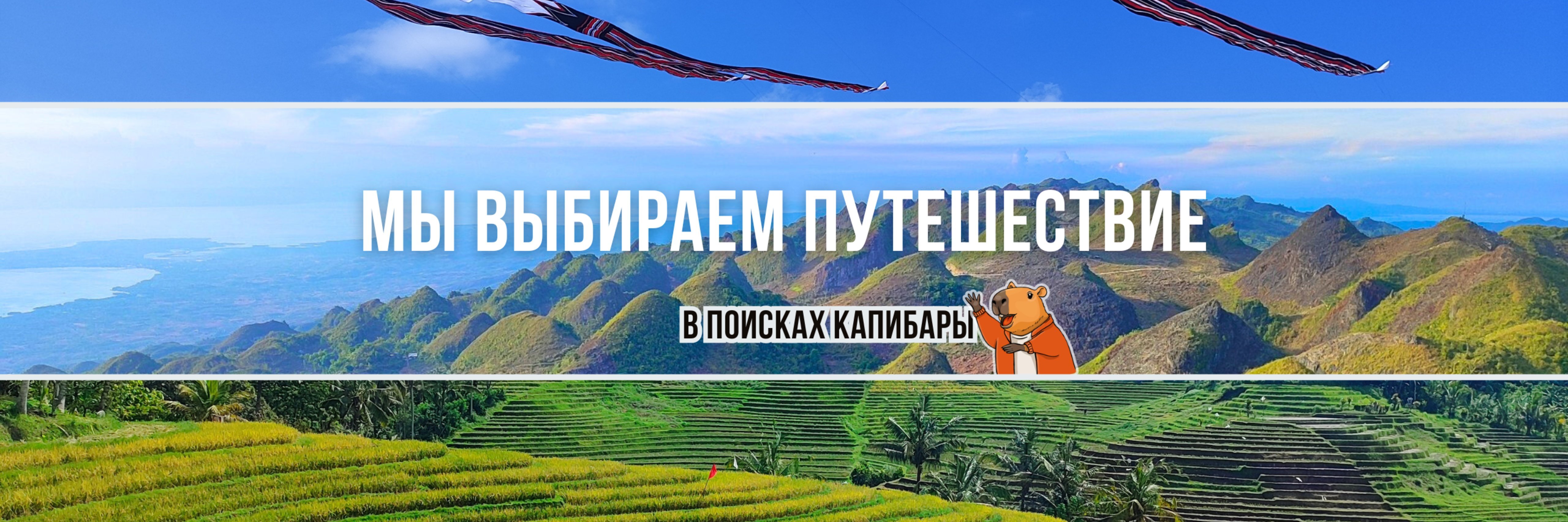 creator cover В поисках капибары