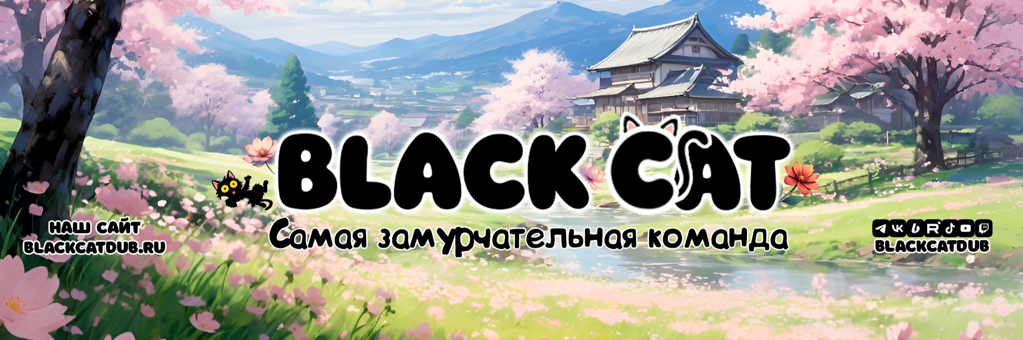 creator cover BlackCat
