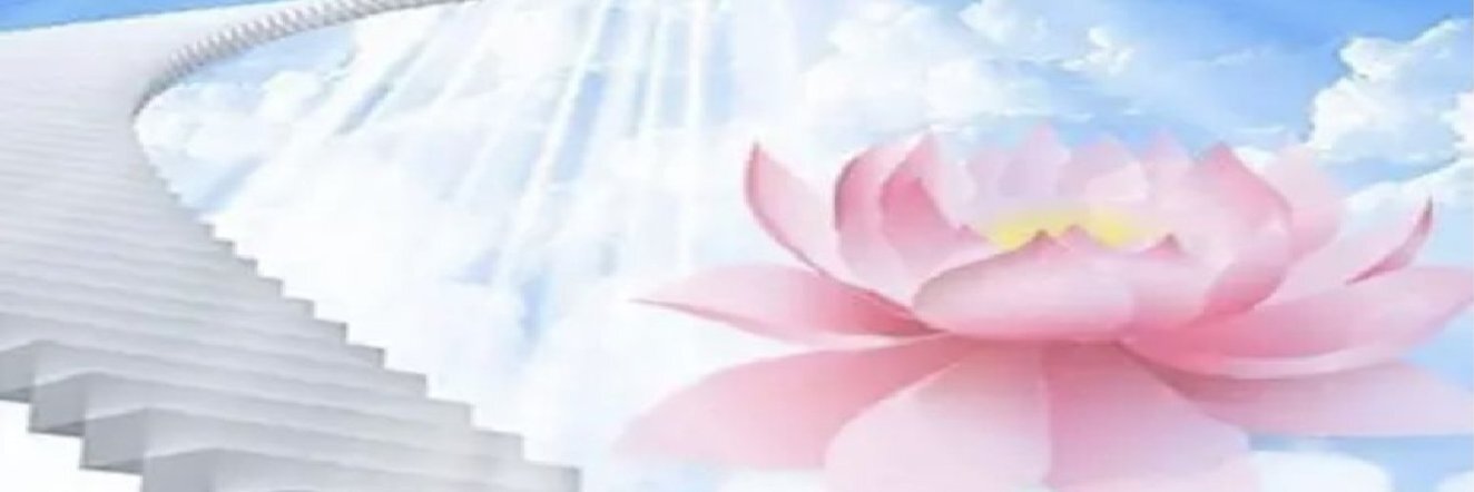 creator cover asianwoman5575